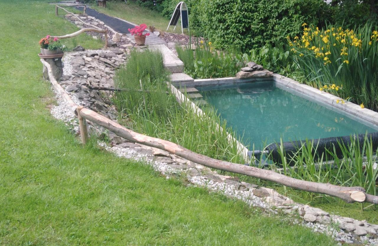 Penzion U Dvojice Nove Mesto na Morave Buitenkant foto
