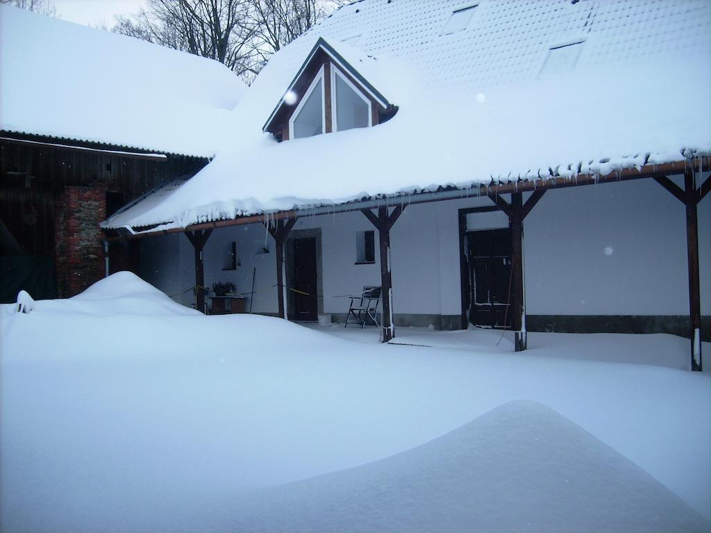 Penzion U Dvojice Hotel Nove Mesto na Morave Buitenkant foto