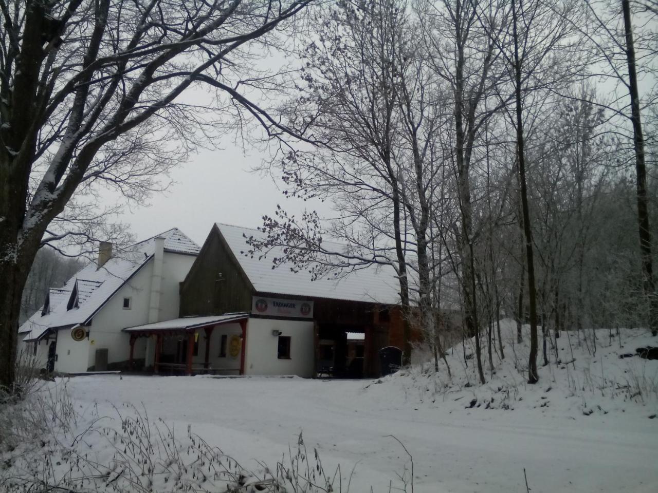 Penzion U Dvojice Hotel Nove Mesto na Morave Buitenkant foto